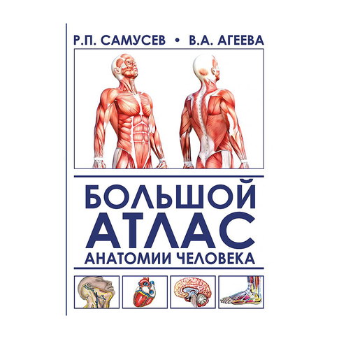 Большой атлас анатомии человека xarid qilish