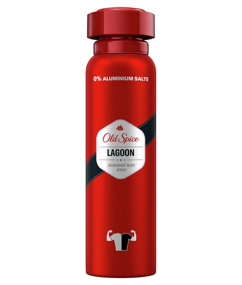 Купить Old Spice Аэрозольный дезодорант Классический аромат Lagoon, 150 мл