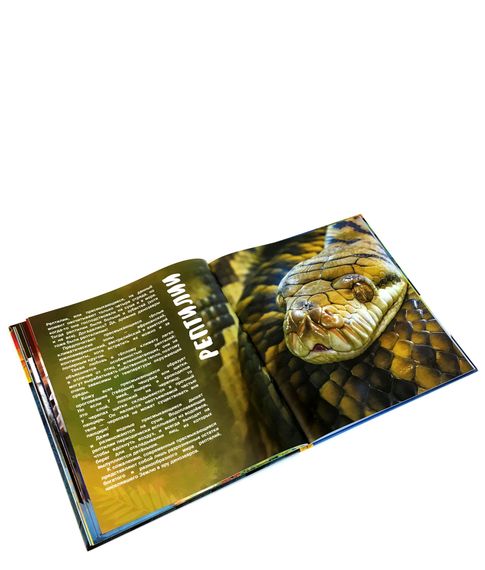 Живая 4D энциклопедия "WOW! Животные" Devar