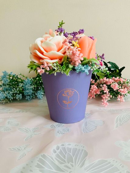 Купить Bellflower
