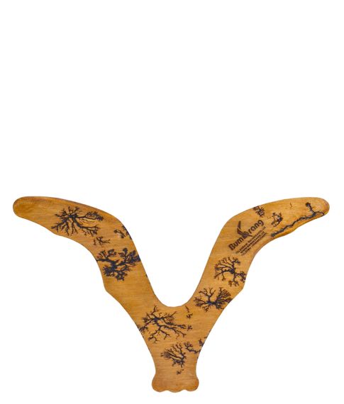 Бумеранг UzBoomerang