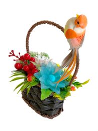 Daisy цветы xarid qilish