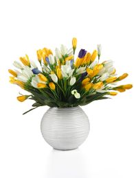 Декоративные цветы в горшке xarid qilish