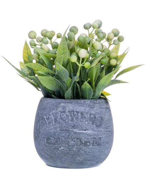 Декоративный горшок с цветком Flowers&Garden ( 17 см) xarid qilish