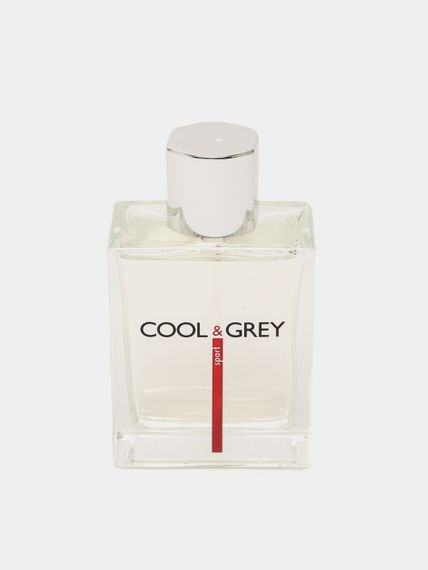 Туалетная вода Cool and Grey Dilis