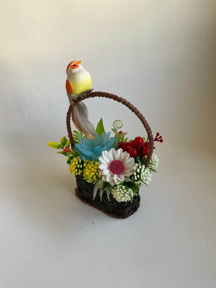 Daisy цветы