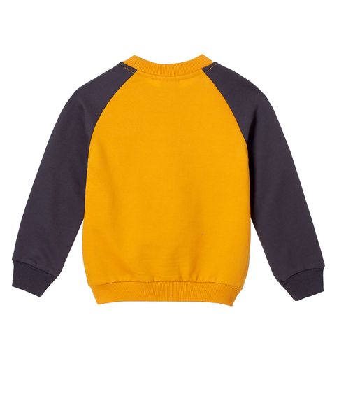 Пуловер Colibri