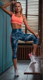 Купить Бриджи ARGO Exclusive