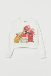 Купить Свитшот H&M