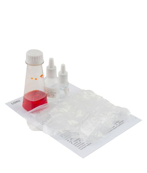 Набор для опытов Пенный вулкан Lori