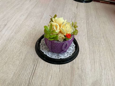 Finjon купола