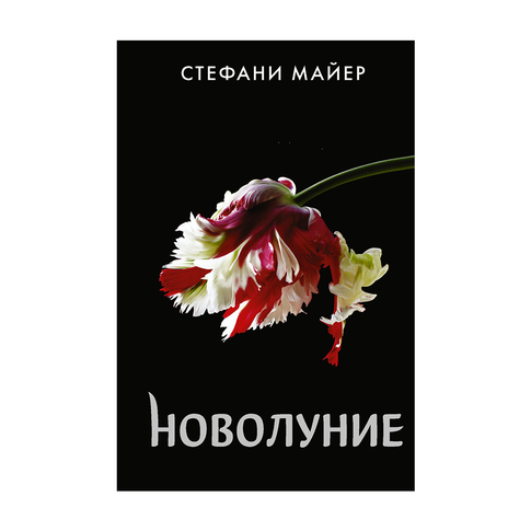 Купить Новолуние (новое оформление)