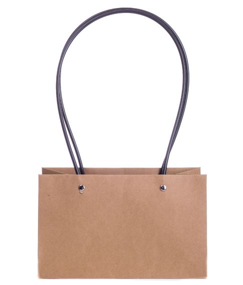 Крафтовый пакет с пластиковыми ручками ( 22х13 см)
