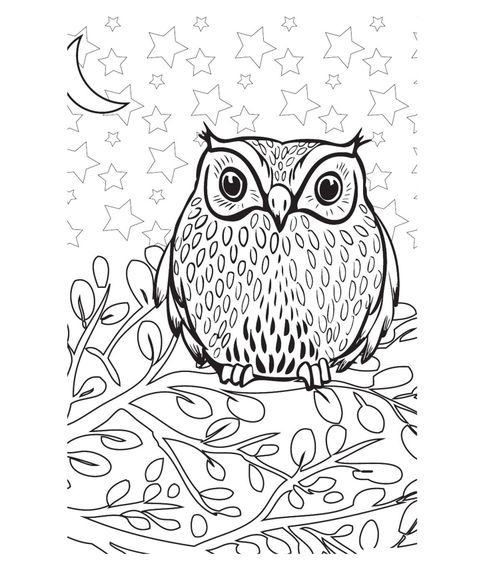 Удивительные животные. Мини-раскраска-антистресс для творчества и вдохновения