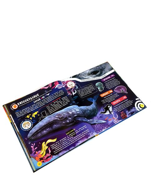 Живая 4D энциклопедия "WOW! Животные" Devar