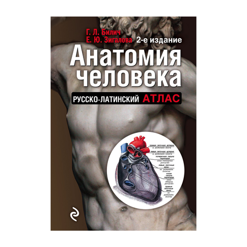 Купить Анатомия человека: Русско-латинский атлас. 2-е издание