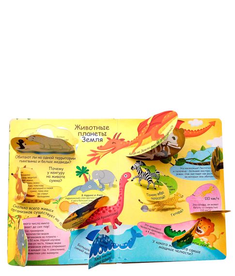 Волшебные окошки.  Наша планета