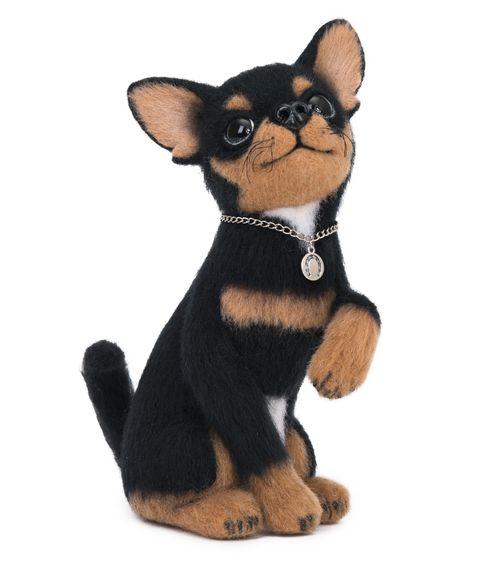 Интерьерная собачка Чихуахуа