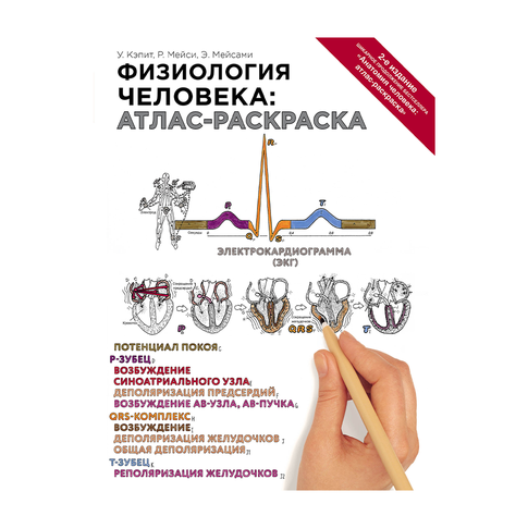 Купить Физиология человека: атлас-раскраска