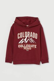 Купить Худи H&M