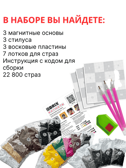 QBRIX Алмазная мозайка по фотографии, на магнитах, из кристаллов
