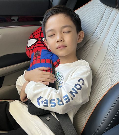 Игрушка-подушка на ремень безопасности