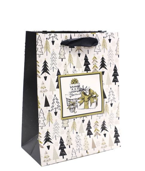 Подарочный пакет 22х18х9 см