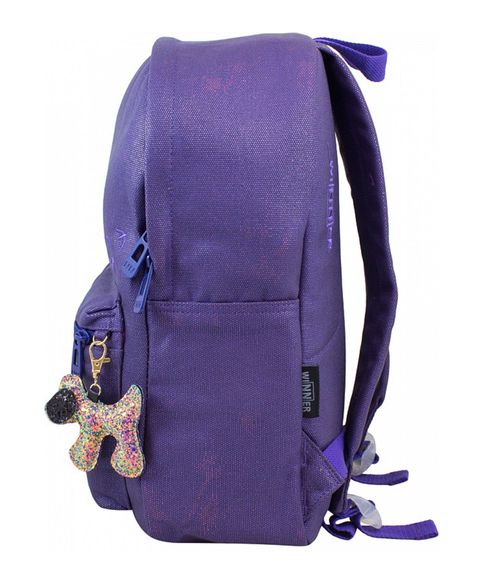 Рюкзак Winner 224