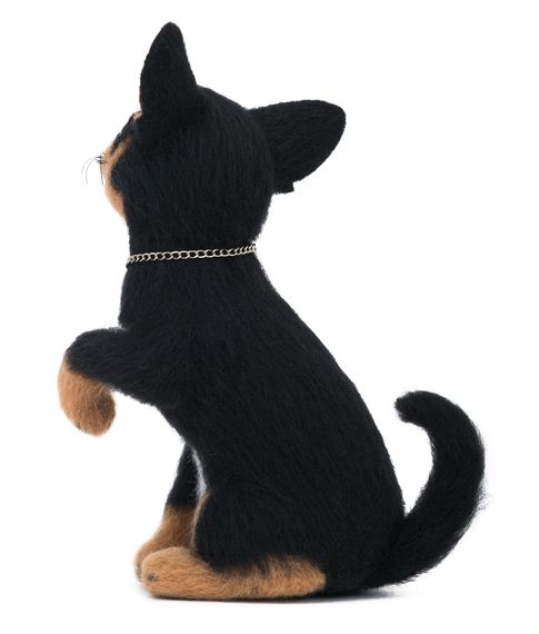 Интерьерная собачка Чихуахуа