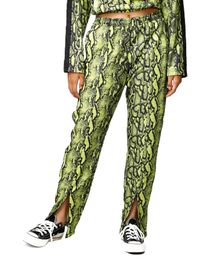 Брюки спортивные JUNKYARD xarid qilish