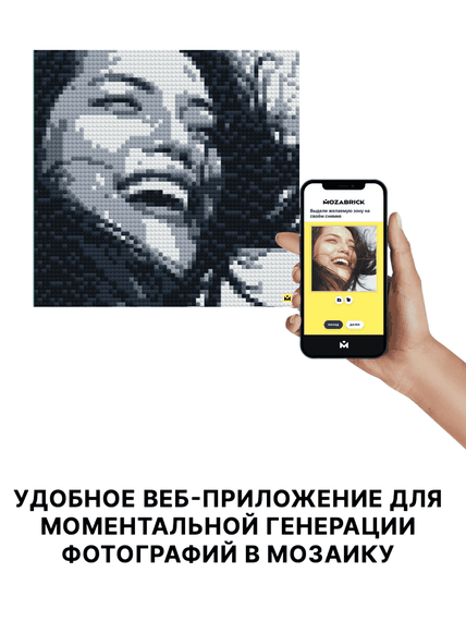 Конструктор из фотографии: Mozabrick Набор S