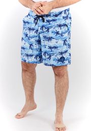 Купить Шорты для плавания Glow