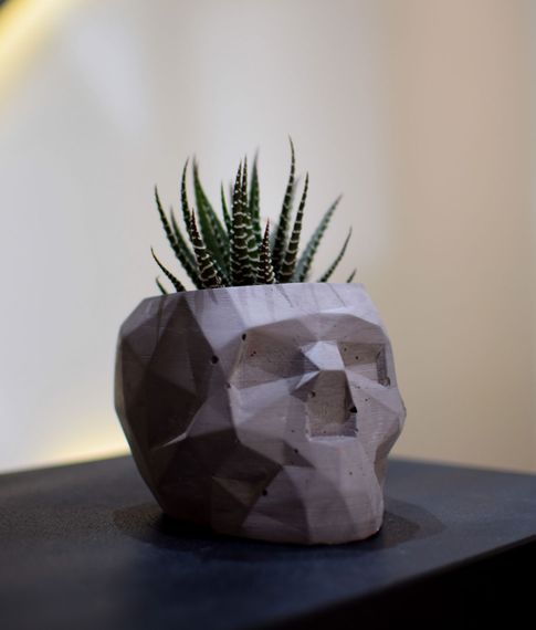 Кашпо Skull Minimalismo