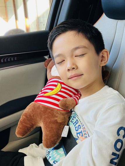 Игрушка-подушка на ремень безопасности