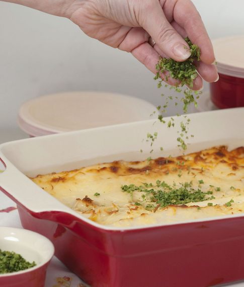 Форма  Red Line Geminis