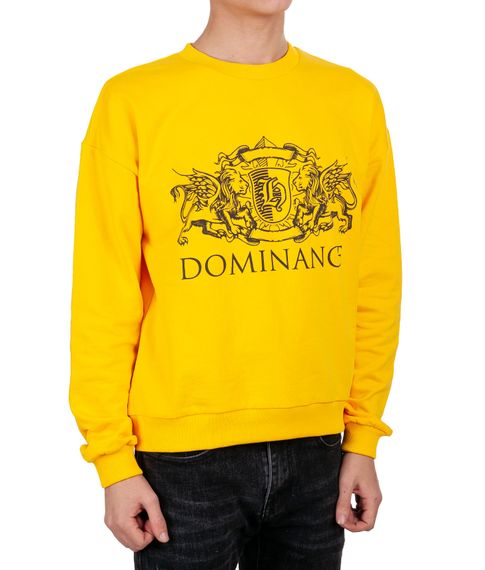 Толстовка Sacotto