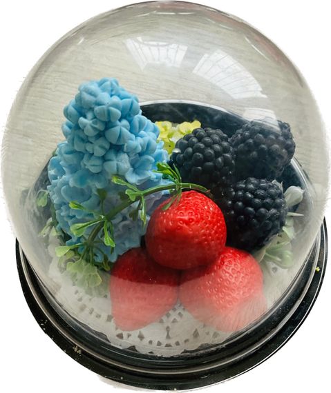 Fruits купола