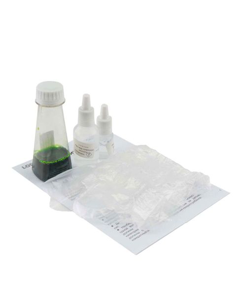 Набор для опытов Пенный вулкан Lori