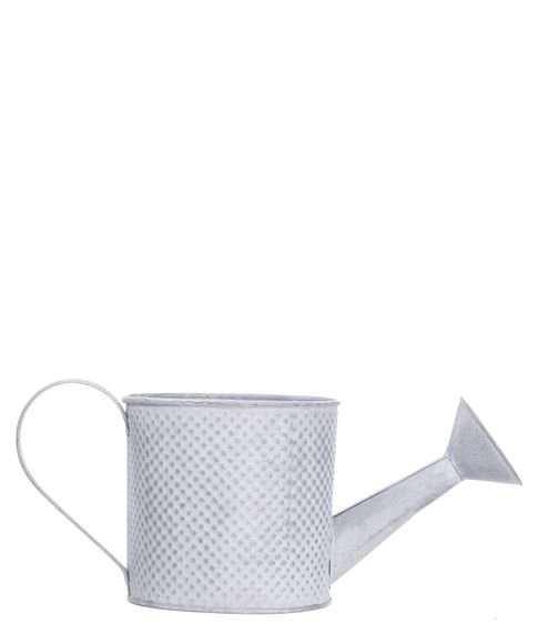 Декоративная жестяная лейка Flowers&Garden ( 10 см)