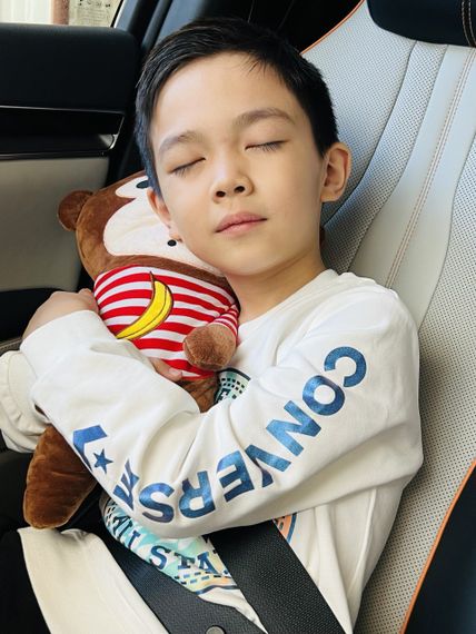 Игрушка-подушка на ремень безопасности