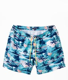 Купить Шорты-плавки Club Room