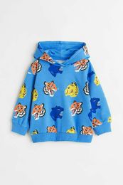 Купить Худи H&M