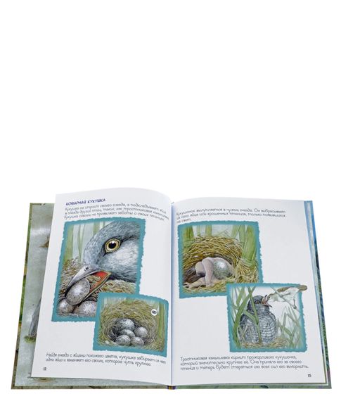 Кто где живет? - Ренне