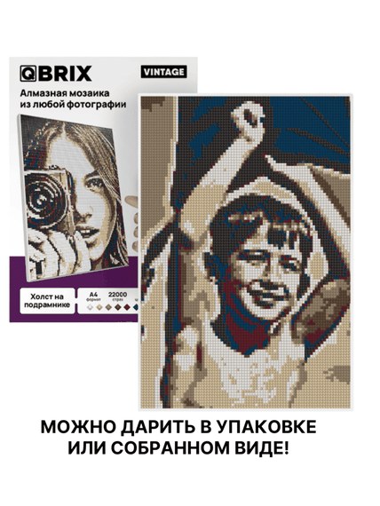 Алмазная мозайка Qbrix по любой фотографии A4, из кристаллов