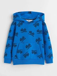 Купить Свитшот H&M