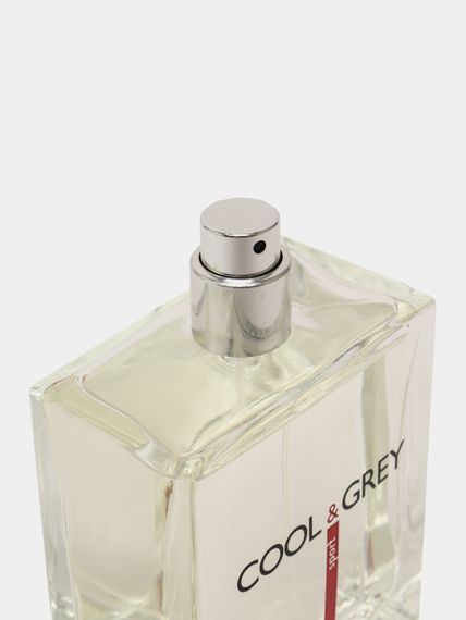 Туалетная вода Cool and Grey Dilis