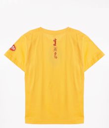 Купить Футболка Agung Bali