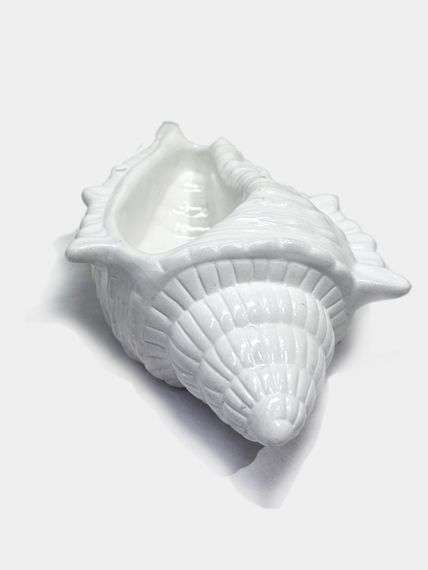 Купить Кашпо для суккулентов ракушка Shell