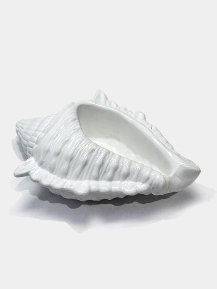 Кашпо для суккулентов ракушка Shell