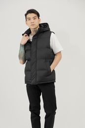 Купить Жилетка короткая длина